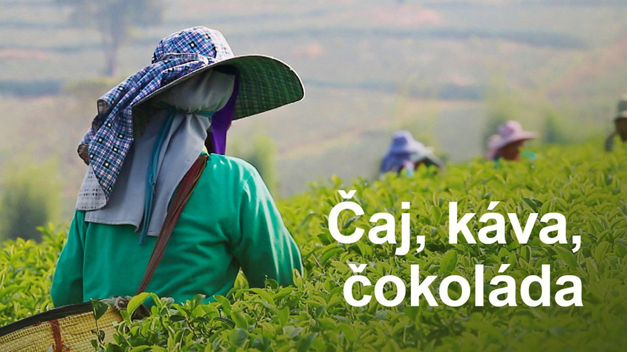 Çaj, kafe ose çokollatë - historia në taset tona backdrop