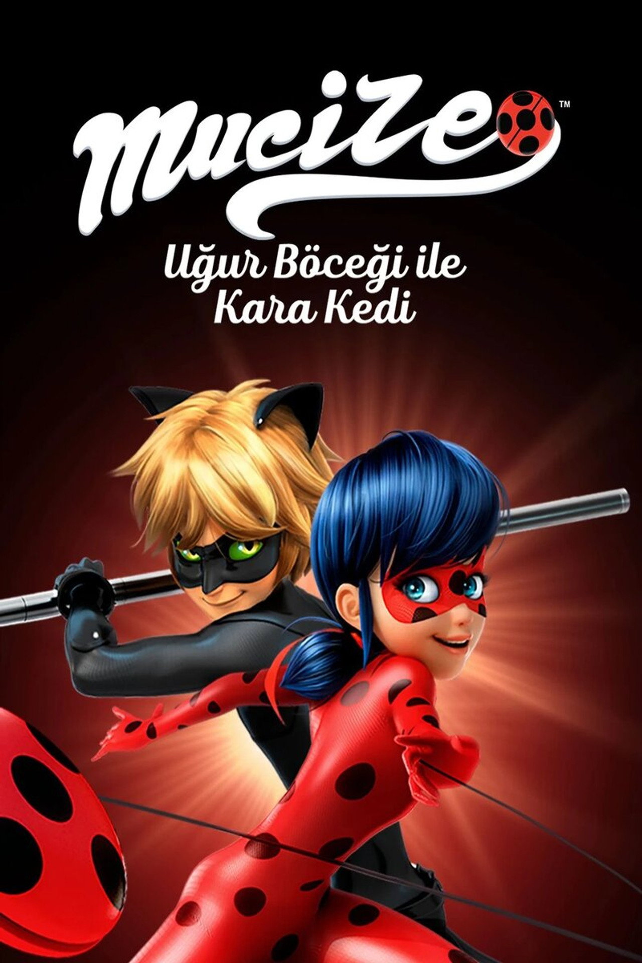 Mucize: Uğur Böceği ile Kara Kedi Poster