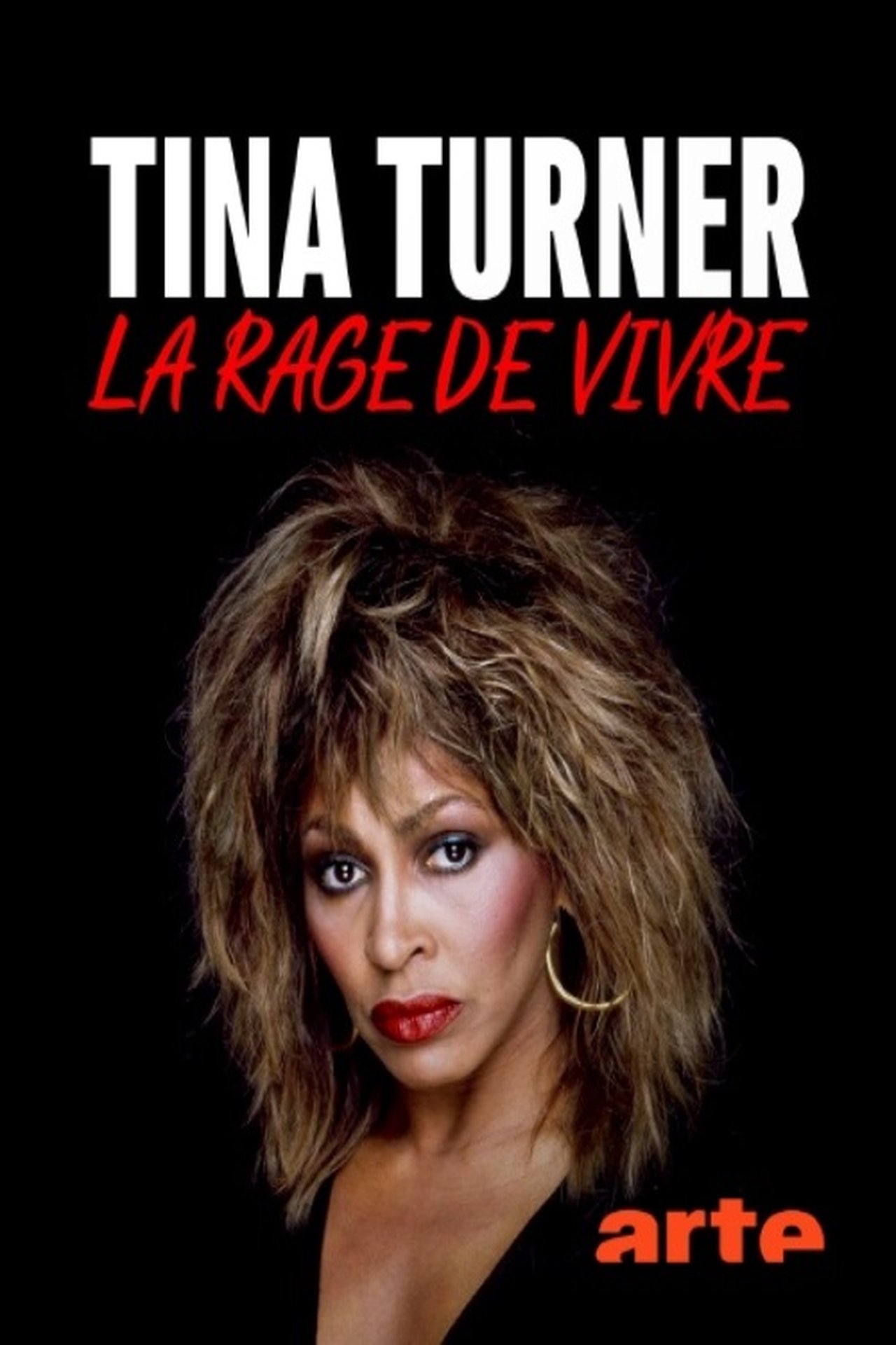 Tina Turner, la rage de vivre poster