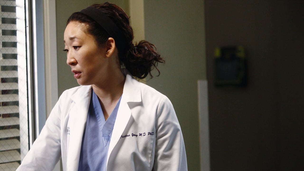 Grey's Anatomy - Season 8 Episode 17 : One Step Too Far