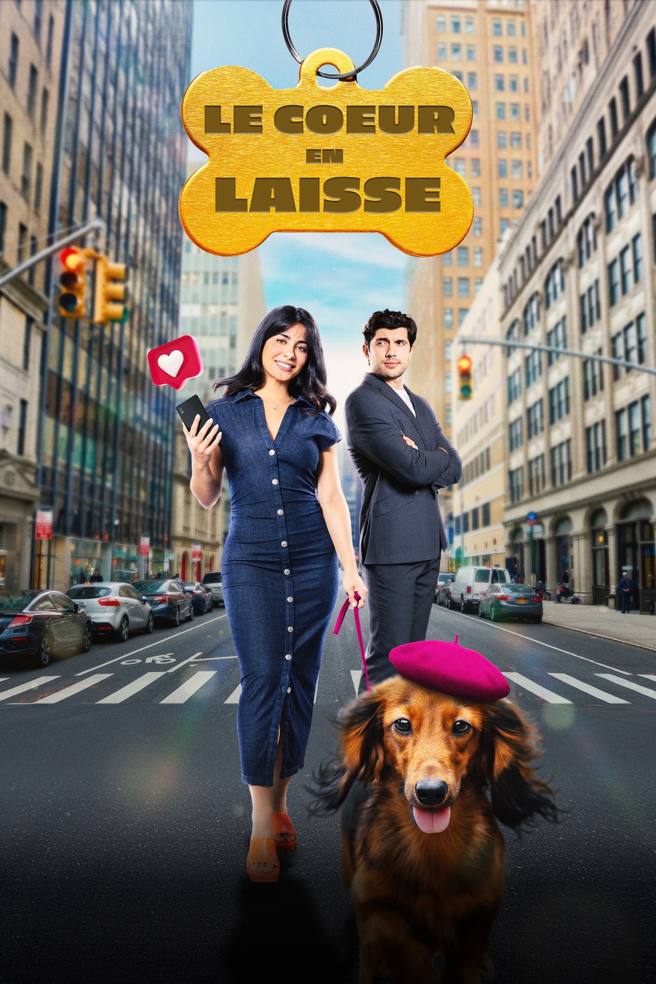 Paws in the City