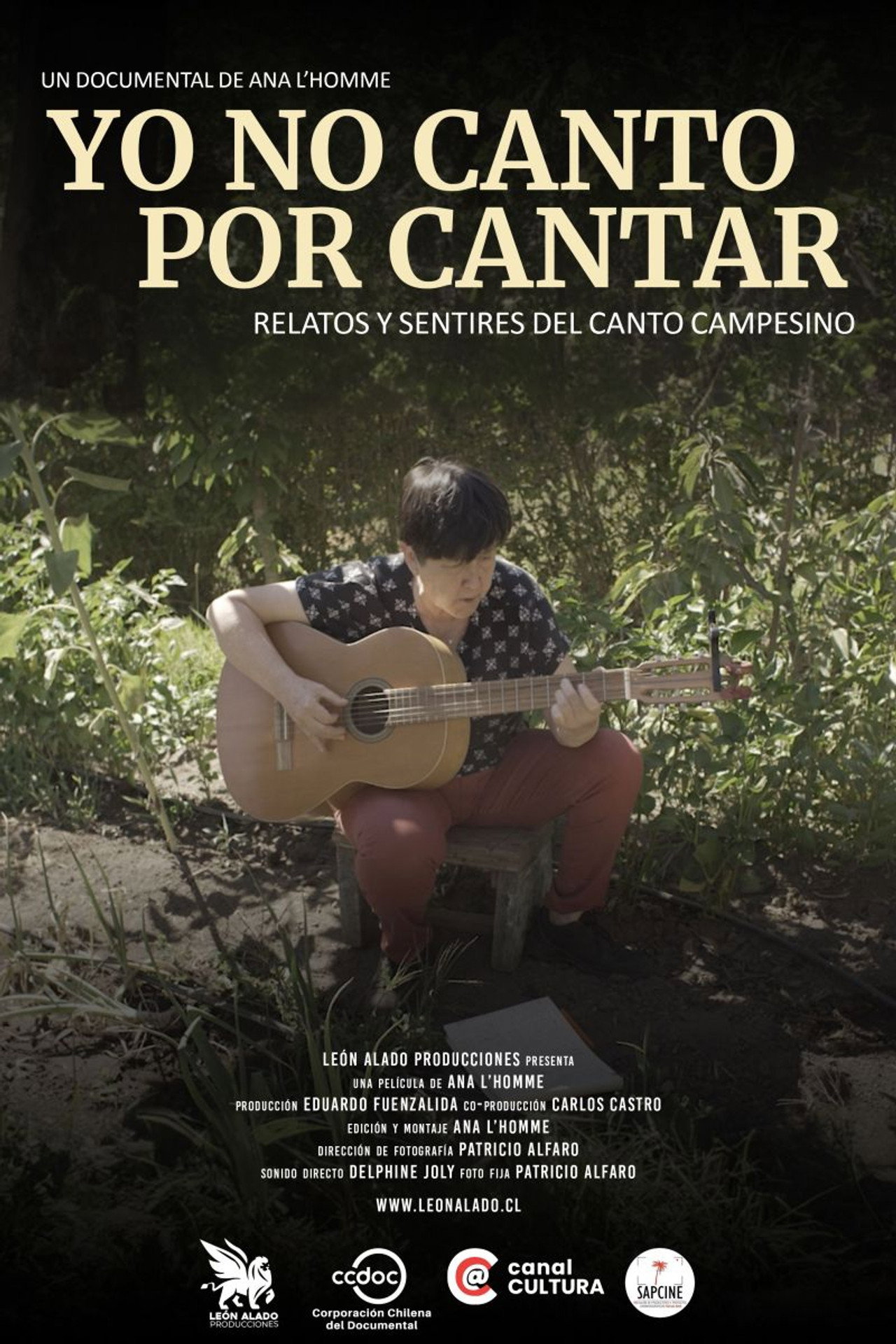 Yo no canto por cantar