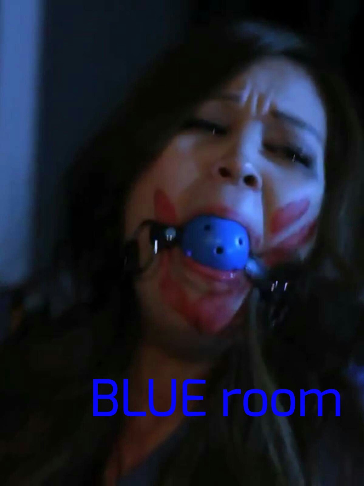 Blue Room Backdrop