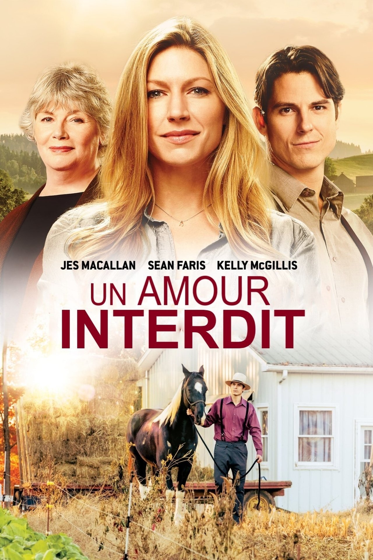 Un amour interdit poster