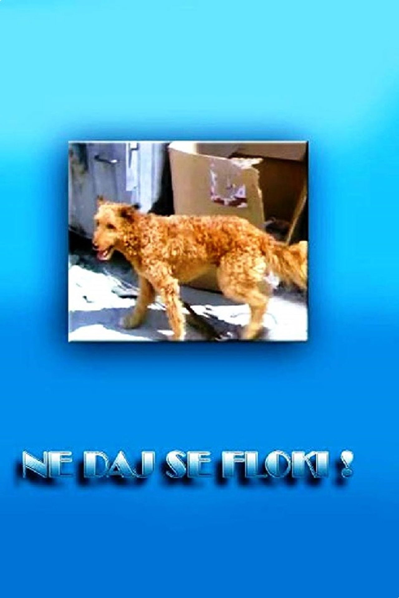 Don't Give in, Flockey! Backdrop