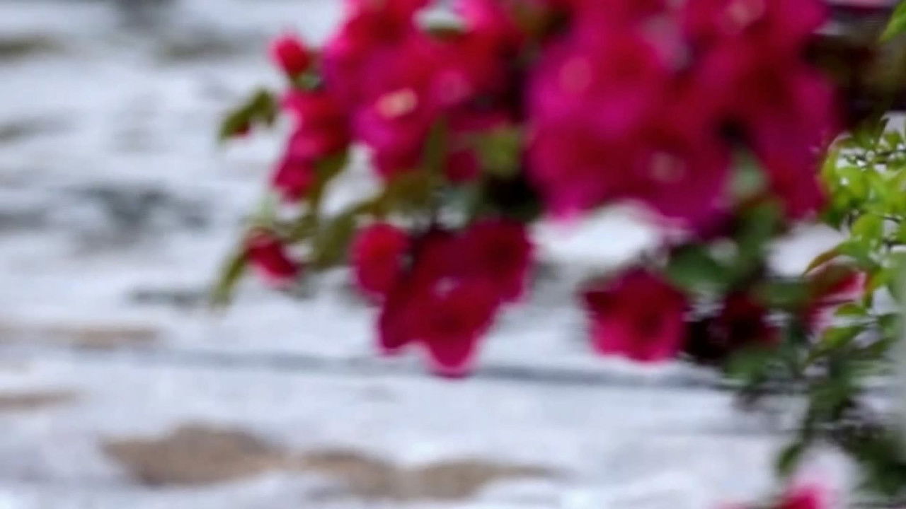 传奇故事 — Épisode 161