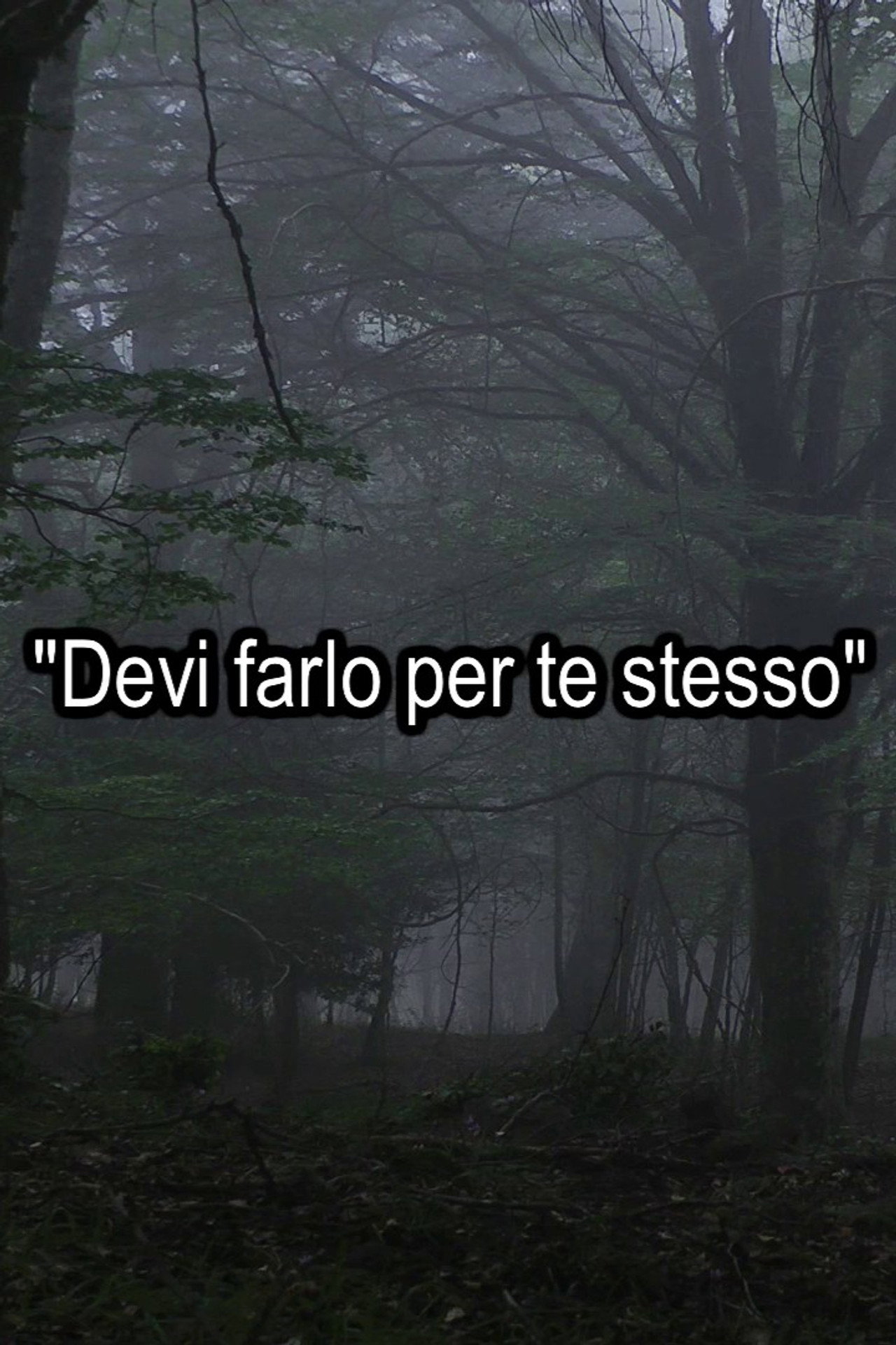 Trilogia dell'obbedienza