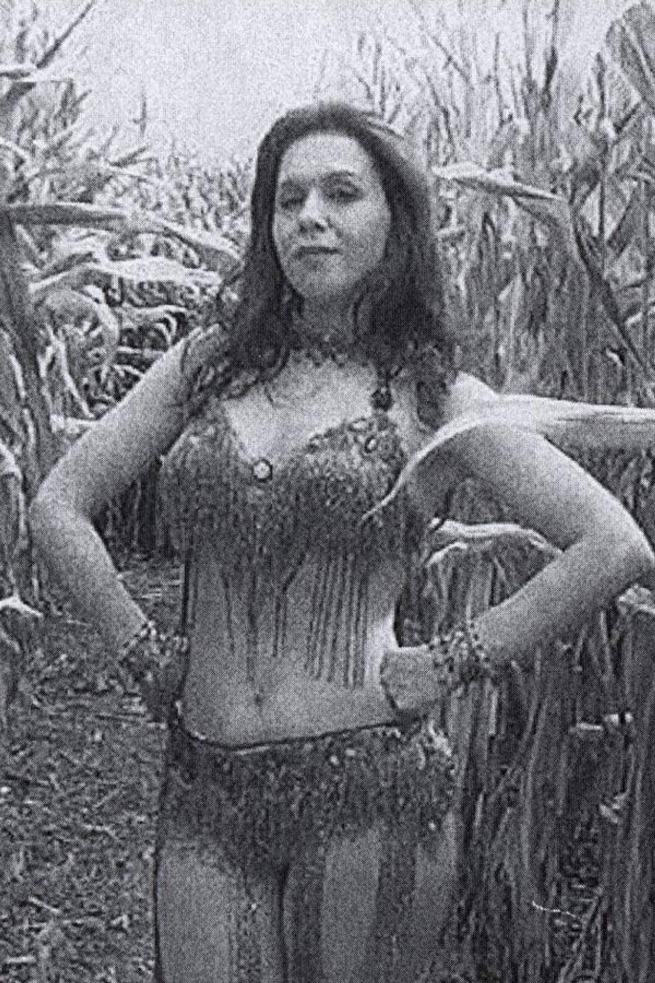 The Cornstarch Gizmo Backdrop