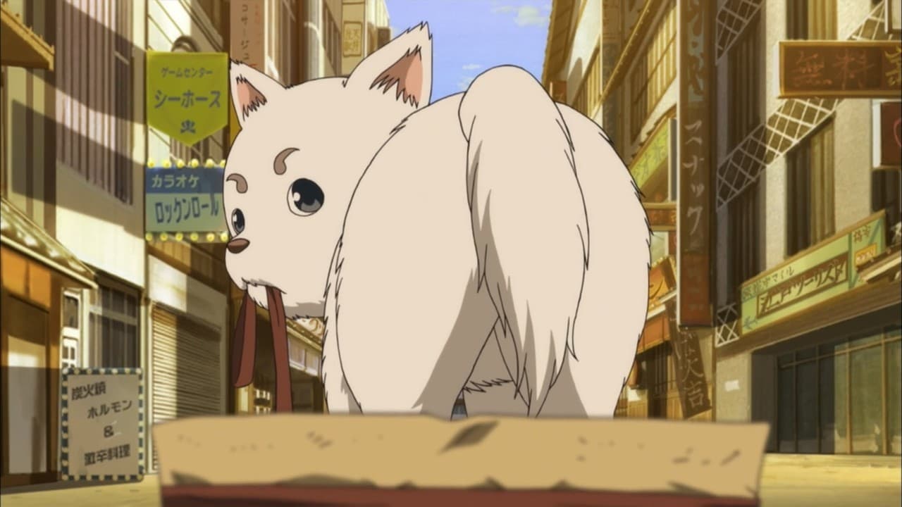 Gintama - Season 6 Episode 13 : Dog Food Doesn't Taste Like You Think