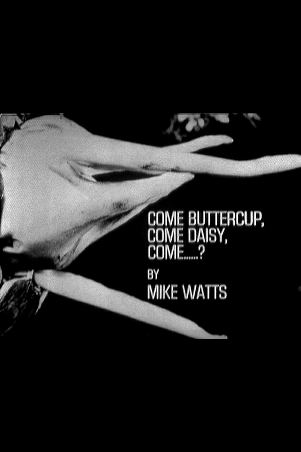 Come Buttercup, Come Daisy, Come......?