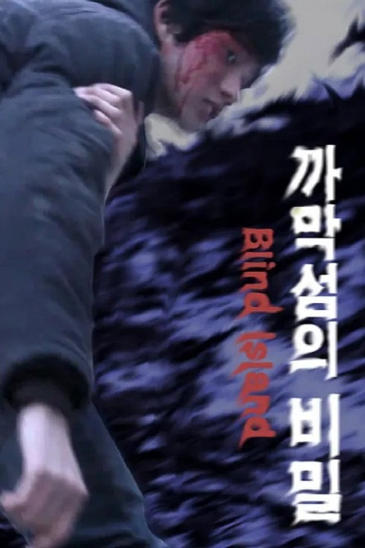 까막섬의 비밀 filmaffisch