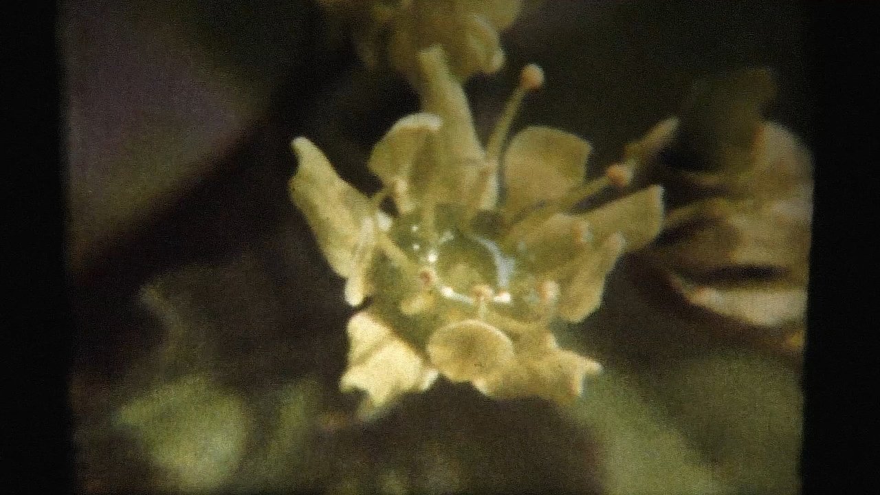 title image
