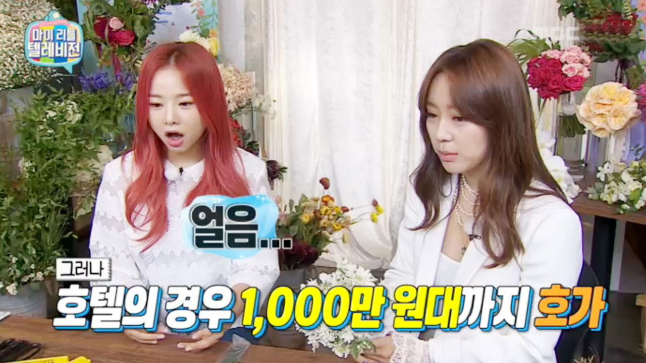 마이 리틀 텔레비전 — Épisode 25