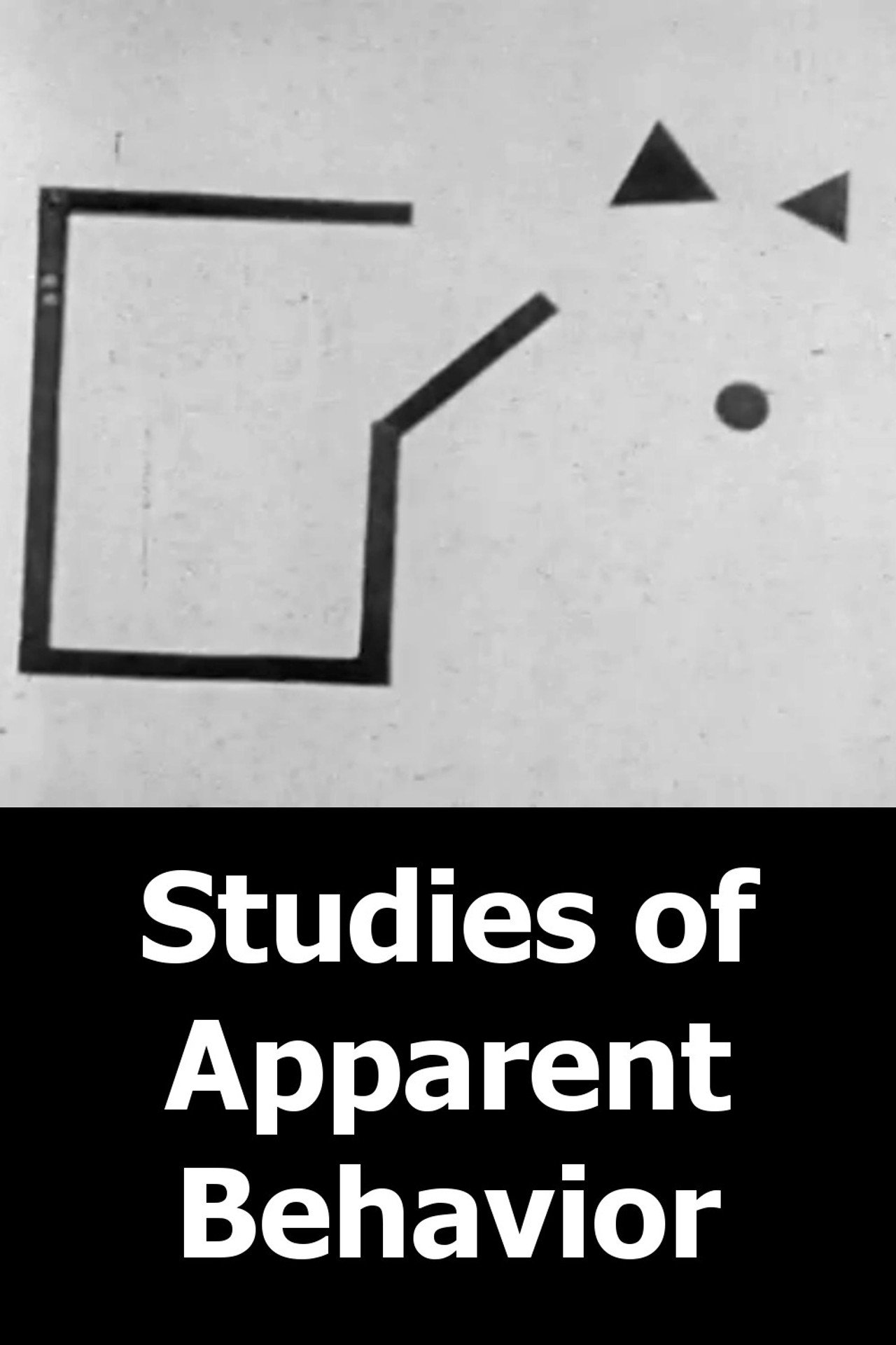 Studies of Apparent Behavior poster