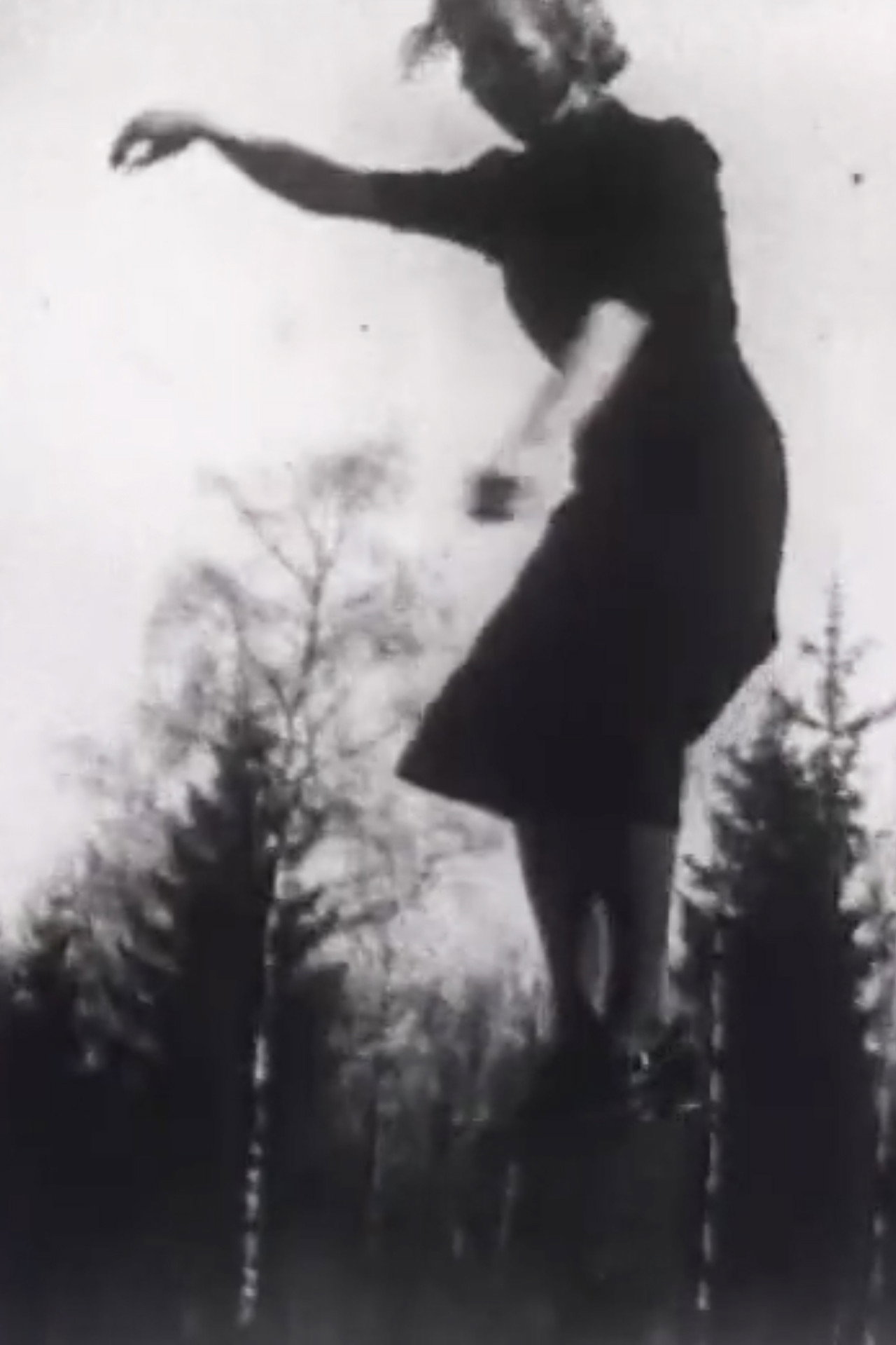 Taidonnäytteitä ja voimainkoetuksia