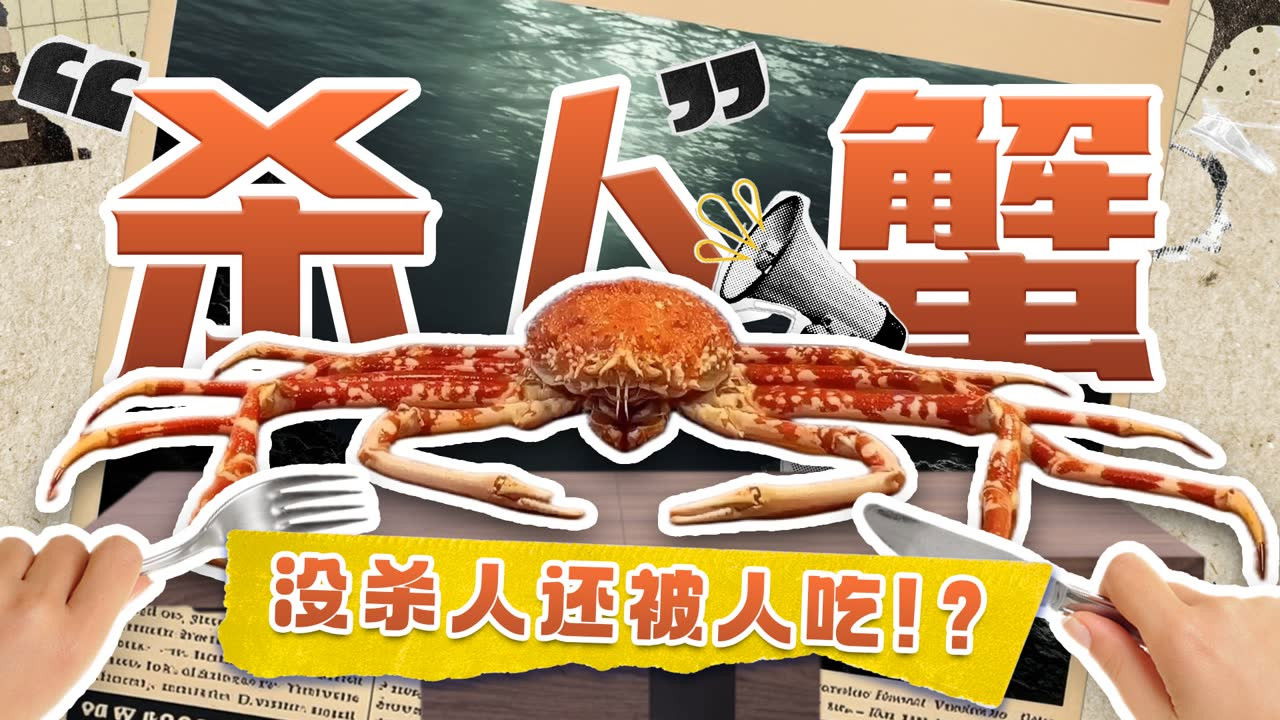 斑马百科探索 — Épisode 5