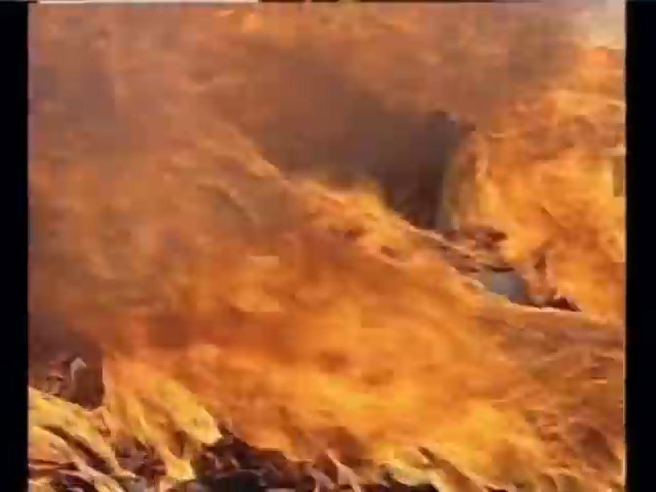 Sítio do Picapau Amarelo — Épisode 167