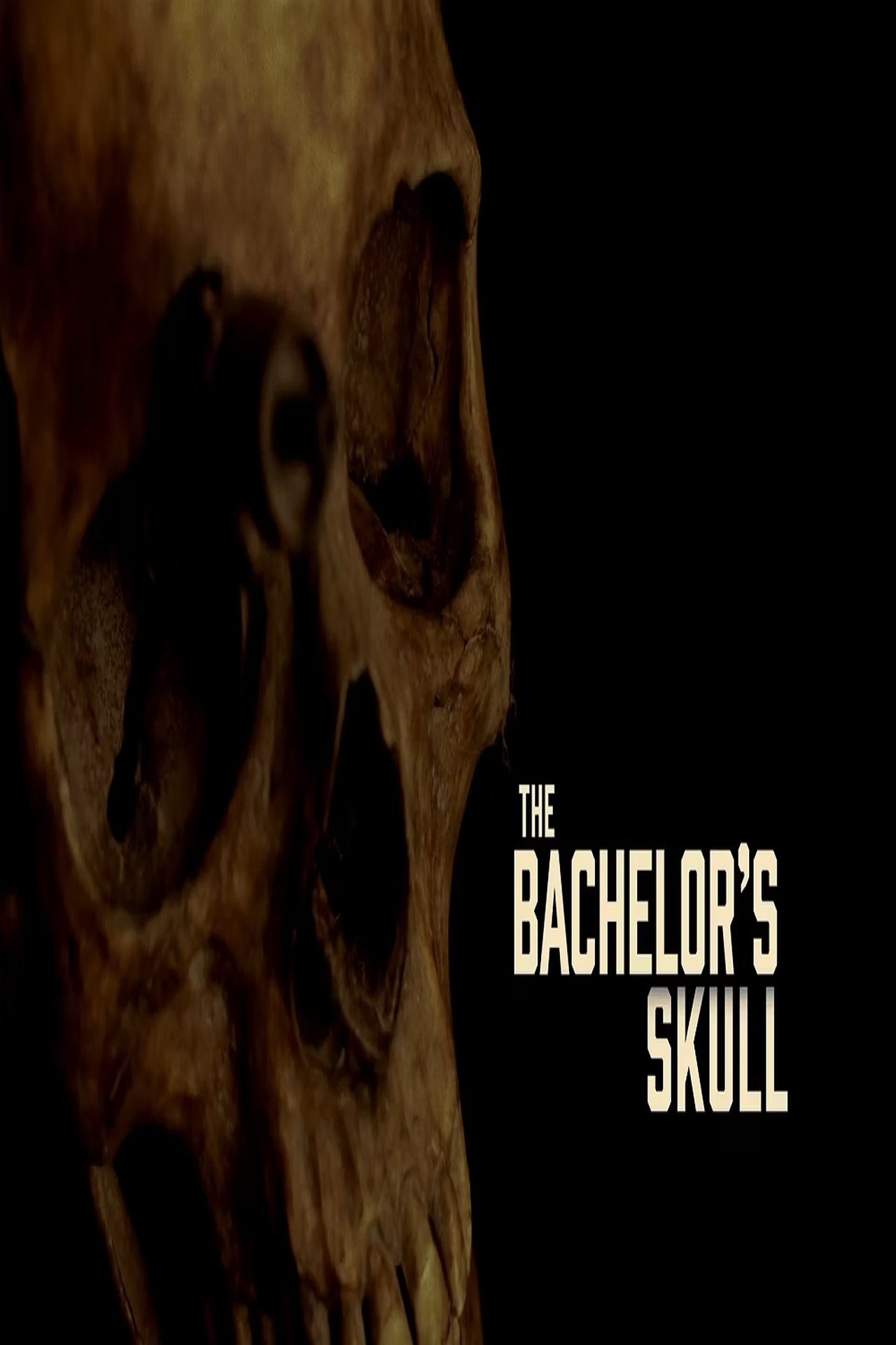 مشاهدة فيلم The Bachelor's Skull مترجم بدون اعلانات - بوستر