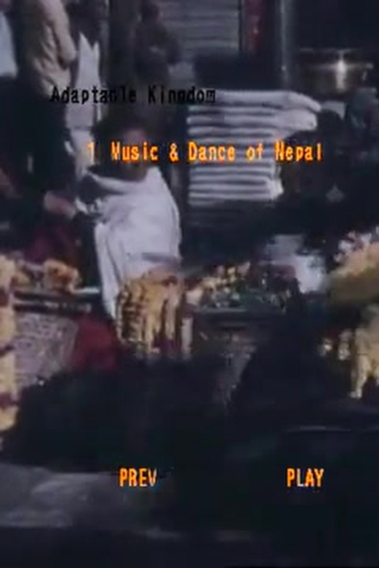 Adaptable Kingdom: Music and Dance from Nepal filmaffisch