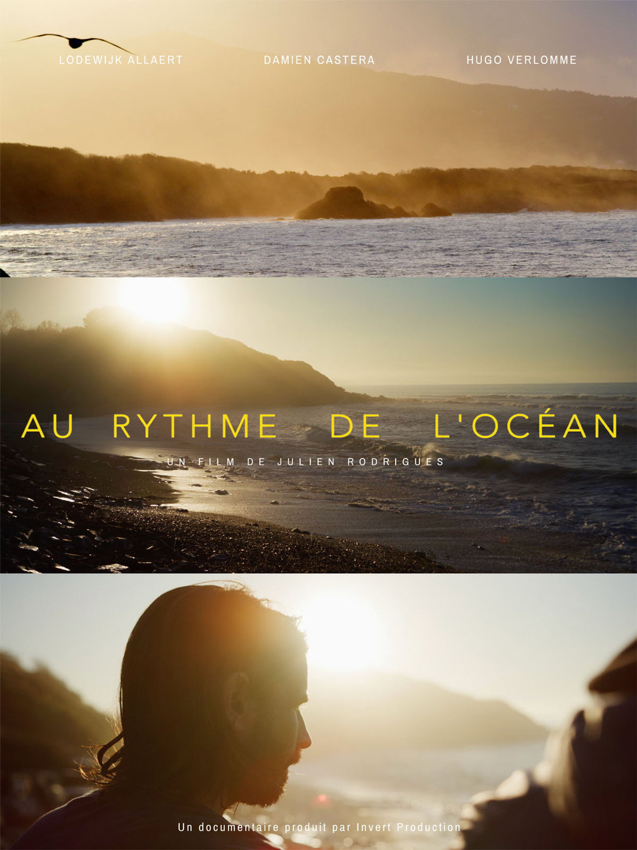Rhythm of the Ocean