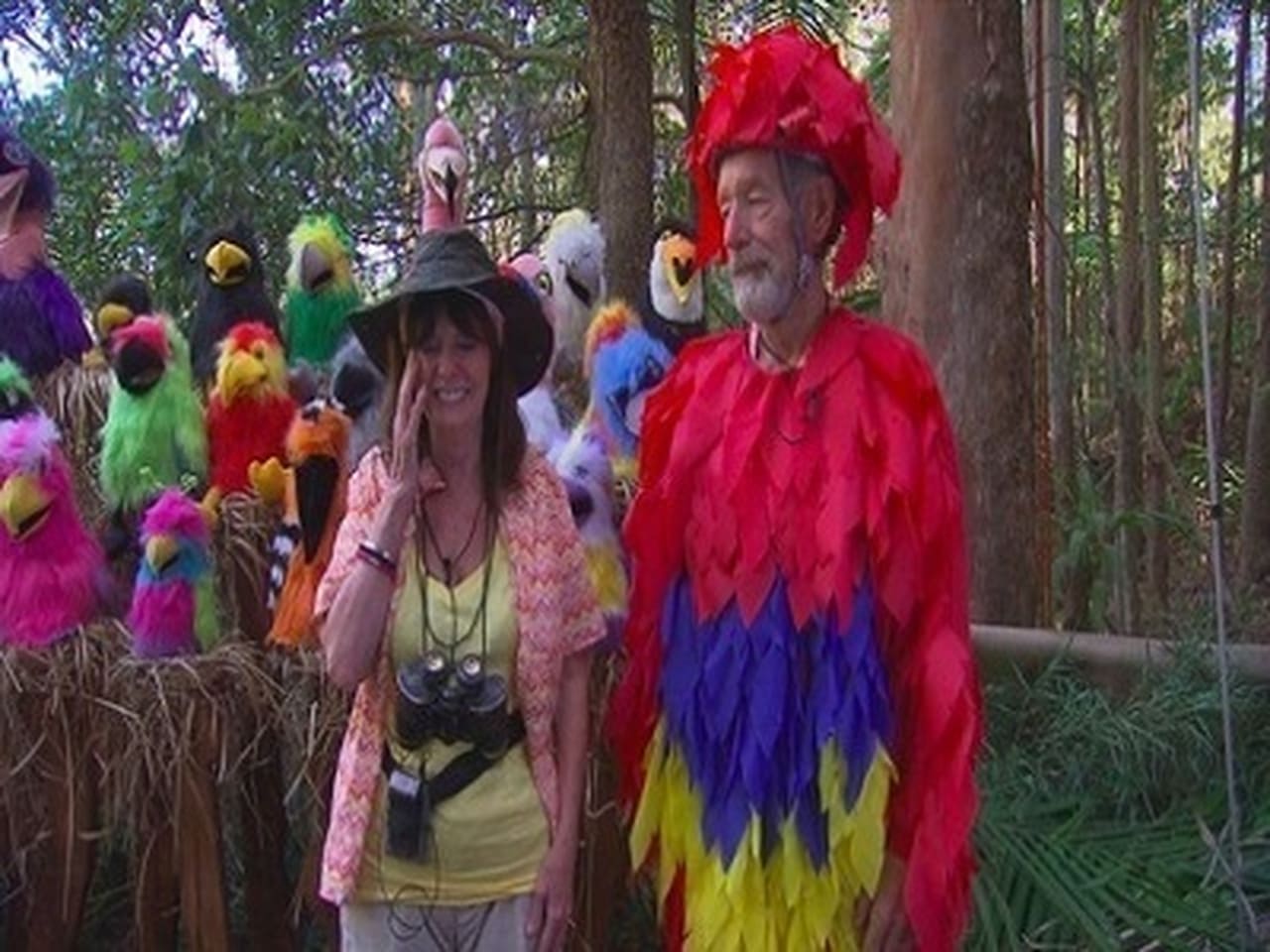 I'm a Celebrity...Get Me Out of Here! - Season 14 Episode 14 : Vile Vineyard