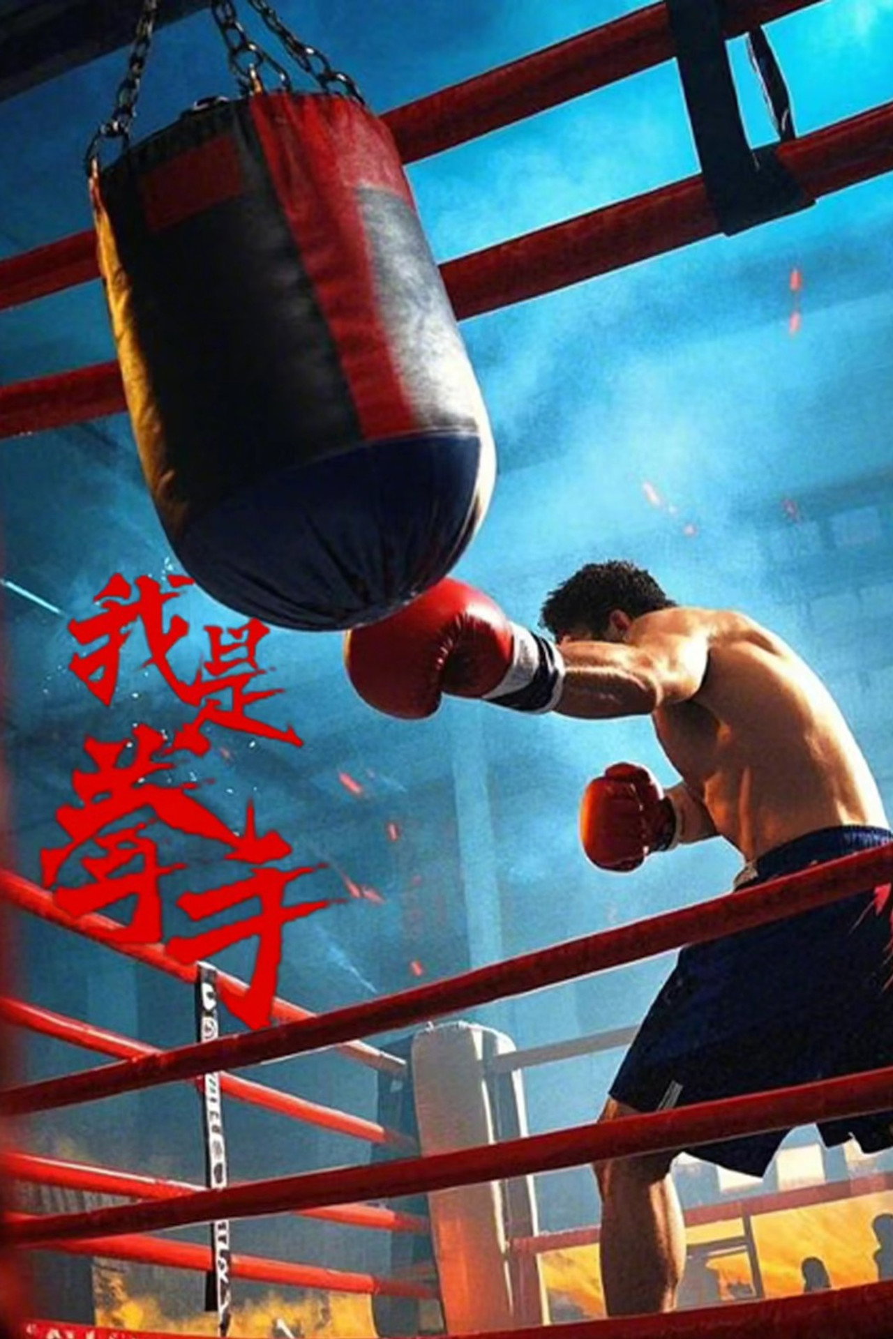 我是拳手