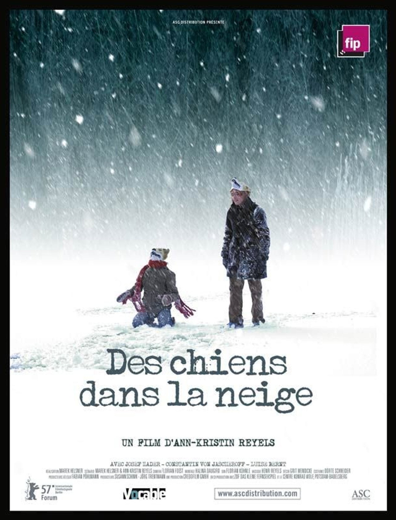 Des chiens dans la neige