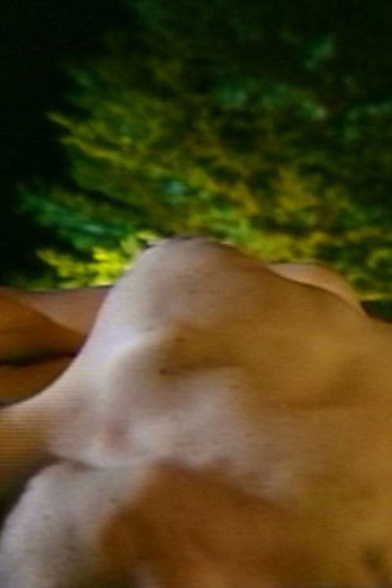 Heads or Tails Backdrop