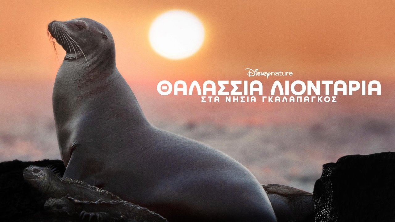 title image
