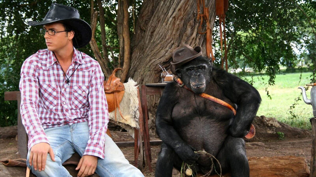 Zoop In South America backdrop