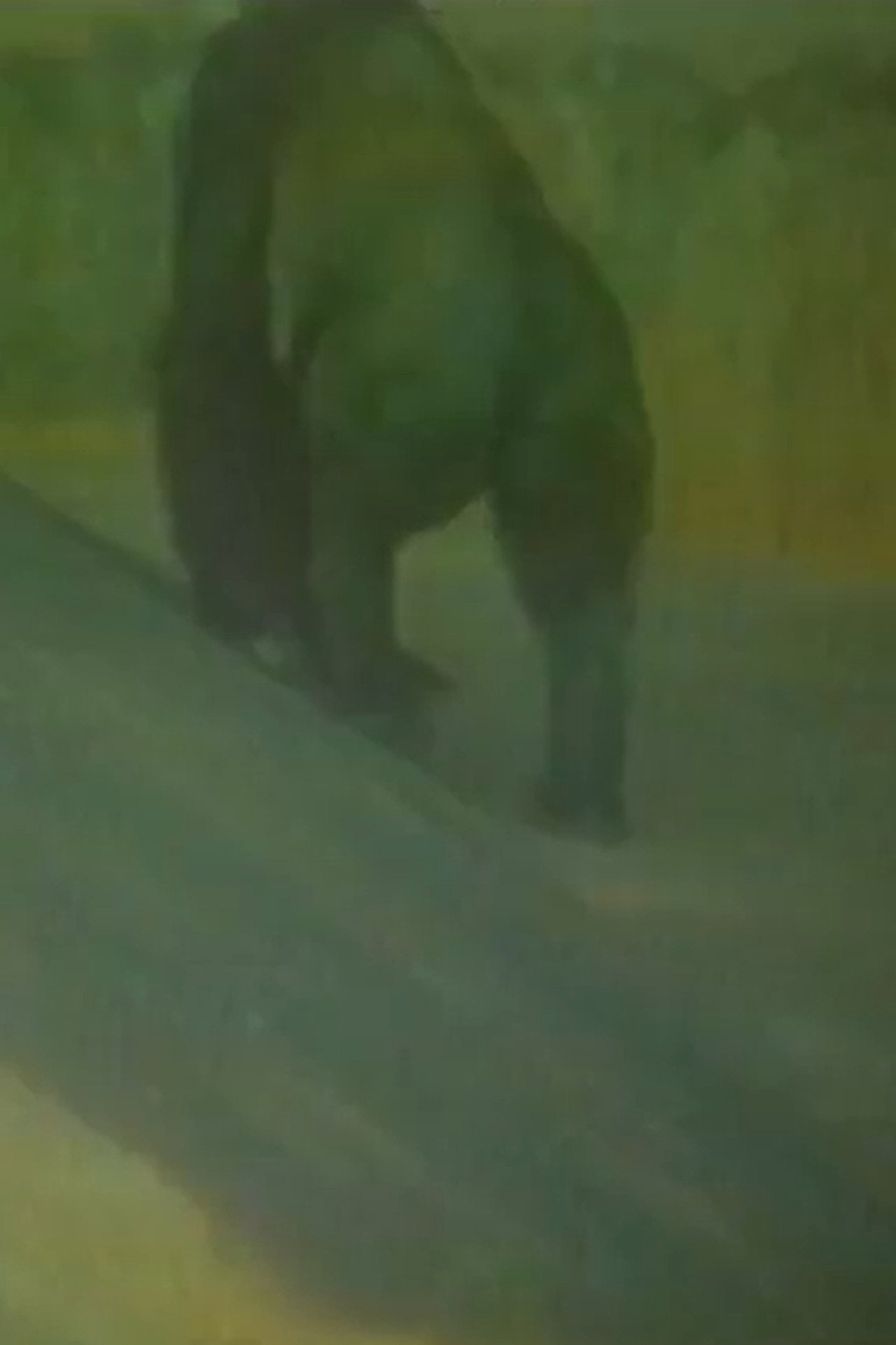 Não Vou À África Porque Tenho Plantão filmaffisch