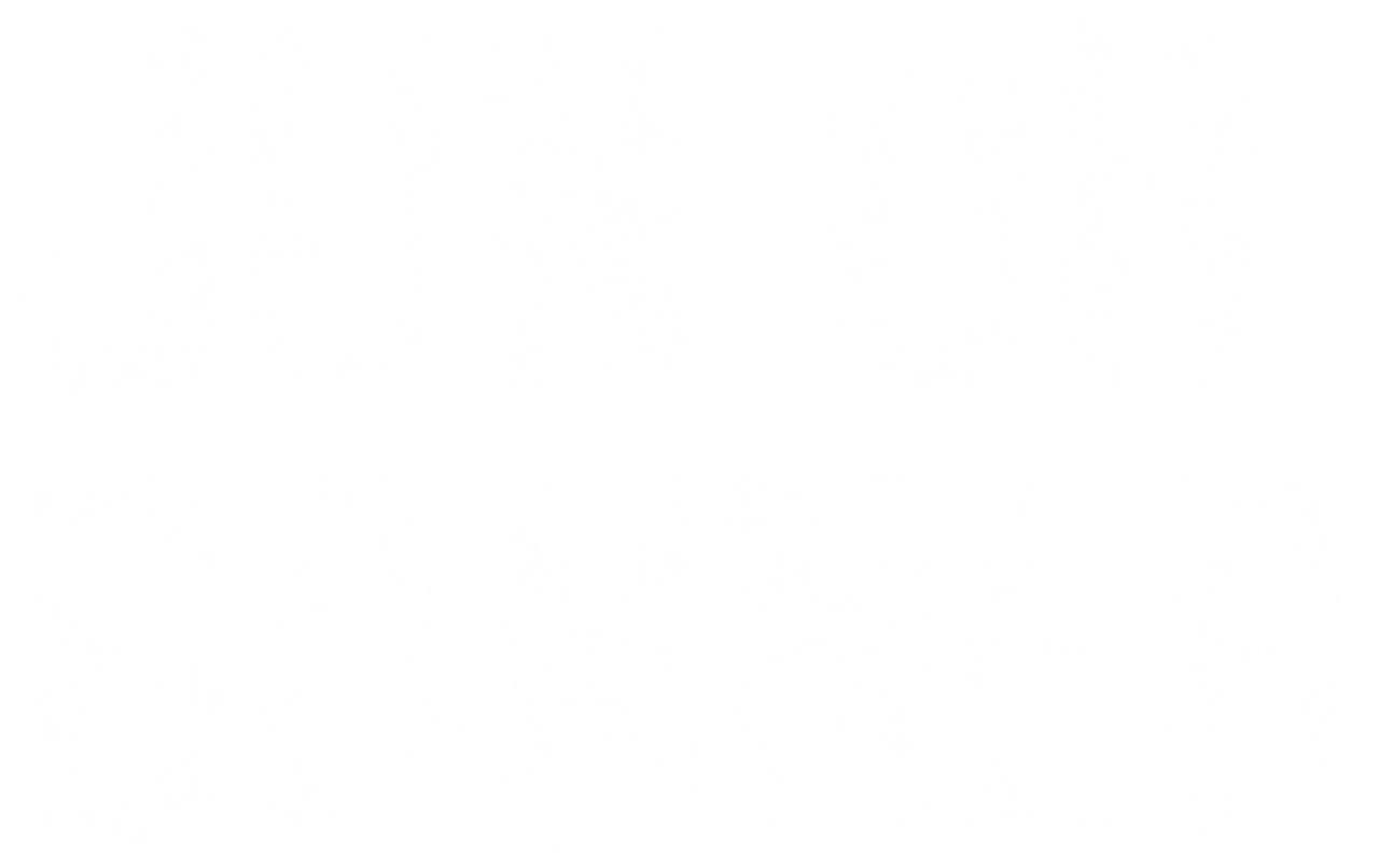 Junior Bonner