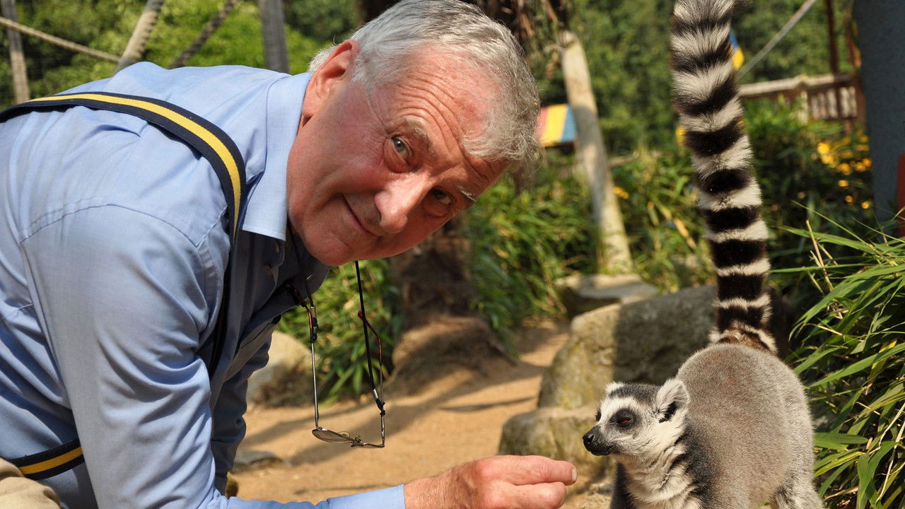 Fossil Wonderlands: Nature's Hidden Treasures — Épisode 3