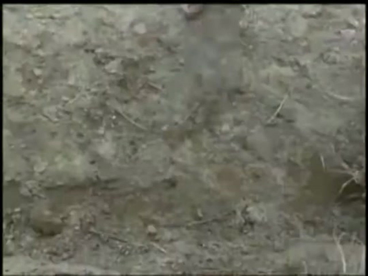 Kaiketsu Lion-Maru — Épisode 4