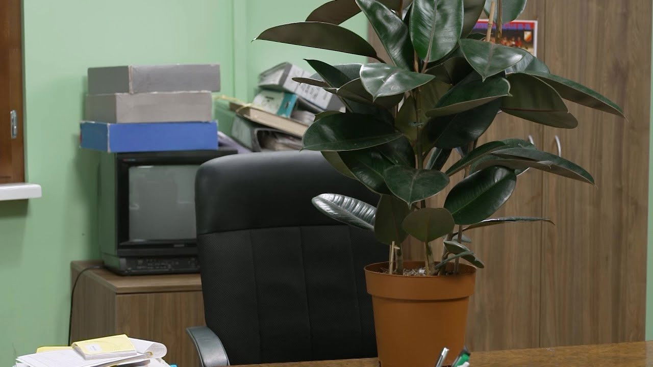 Државни посао — Épisode 61