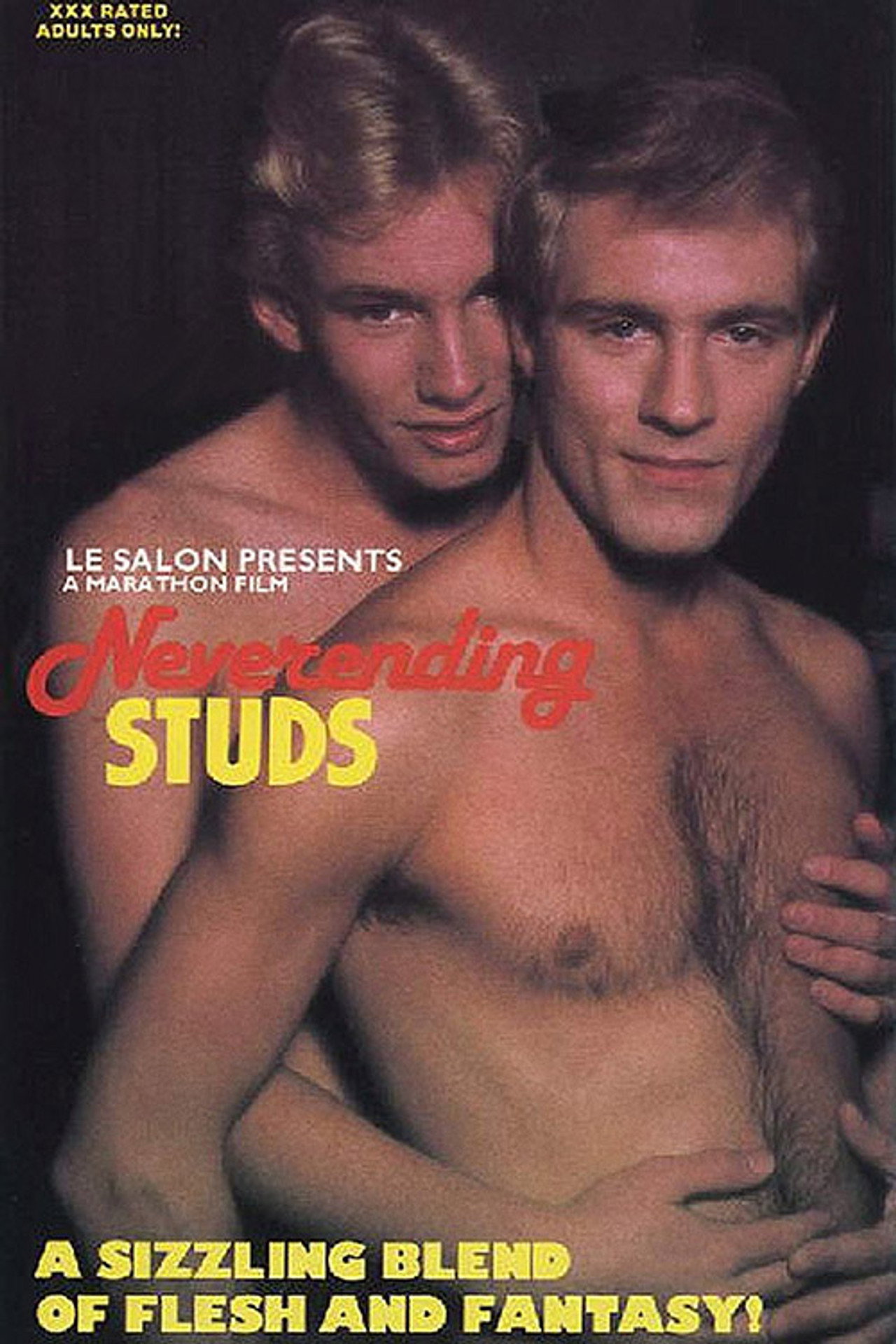 Neverending Studs filmaffisch