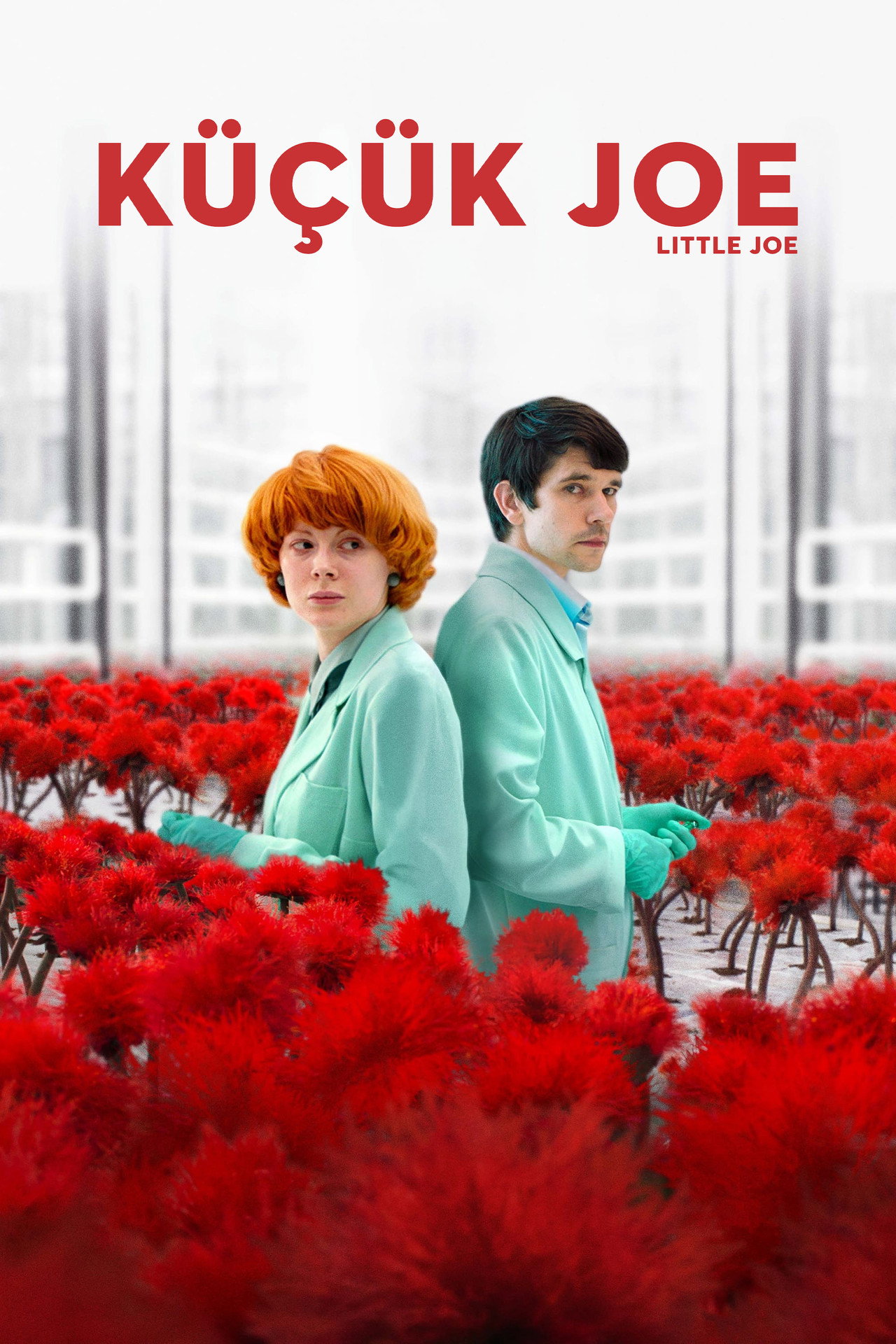 Küçük Joe Poster