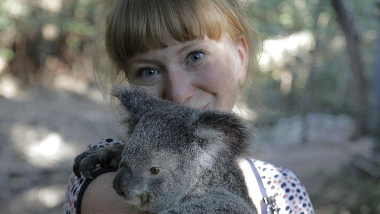 Paula und die wilden Tiere — Épisode 19