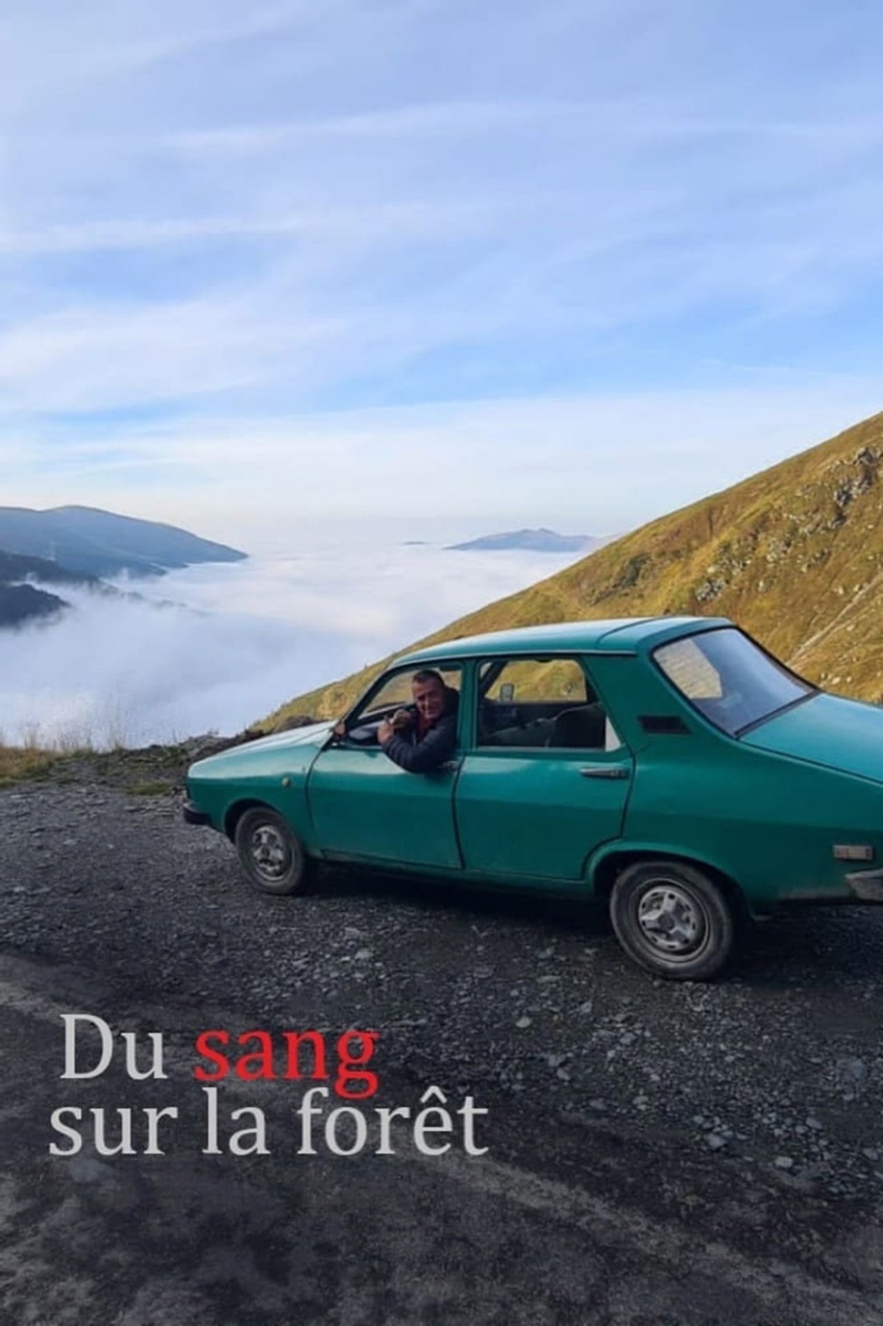 Du sang sur la forêt poster