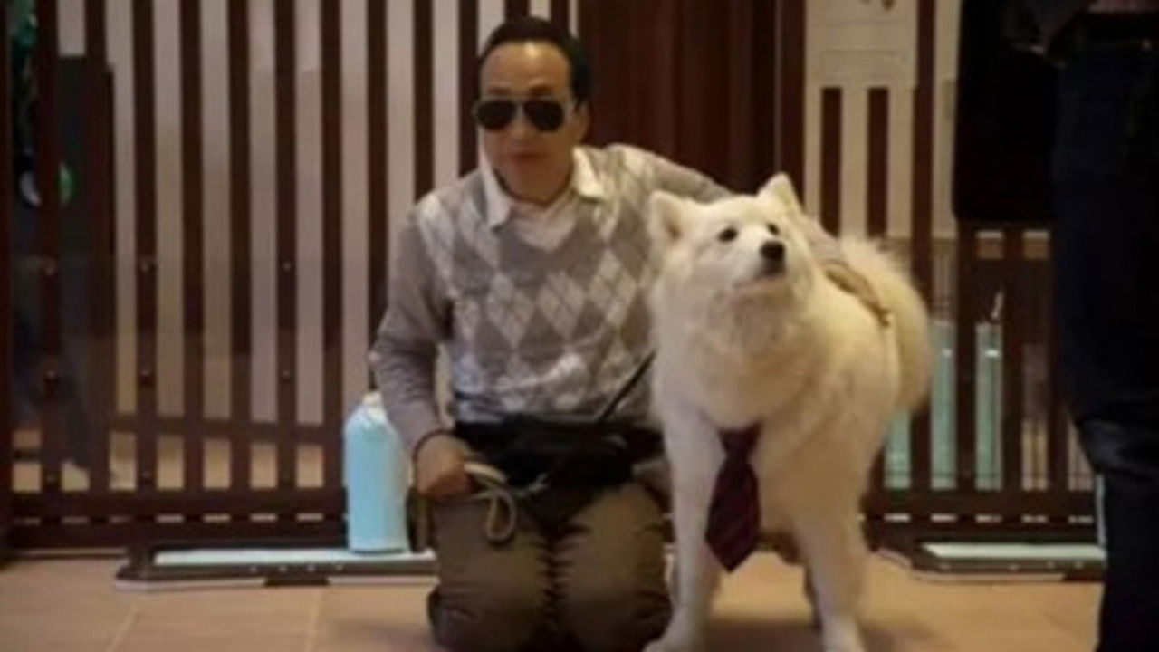 犬飼さんちの犬 — Épisode 9