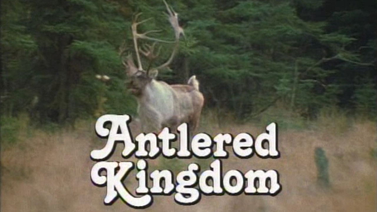 Marty Stouffer's Wild America — Épisode 5