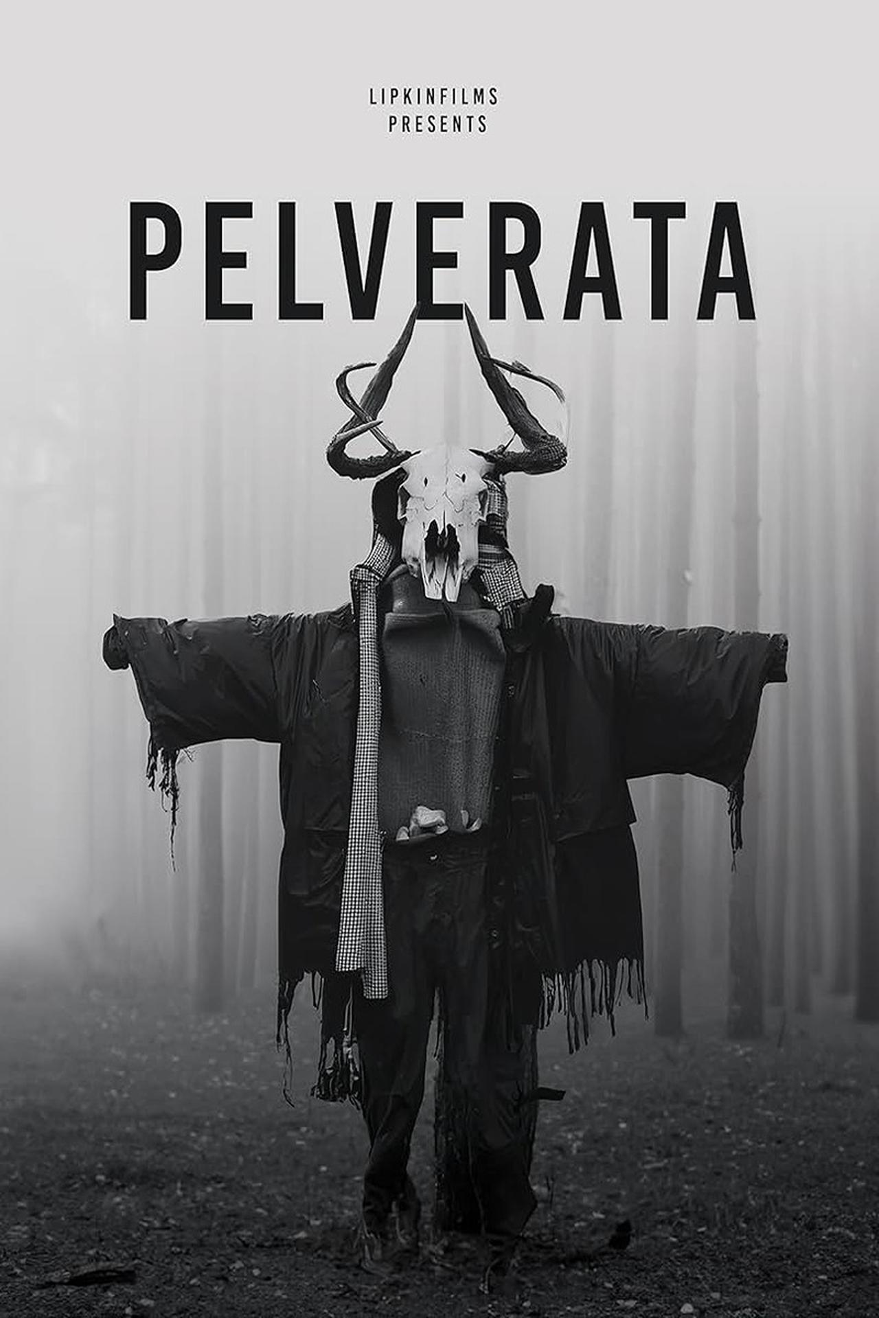 Pelverata Pelverata