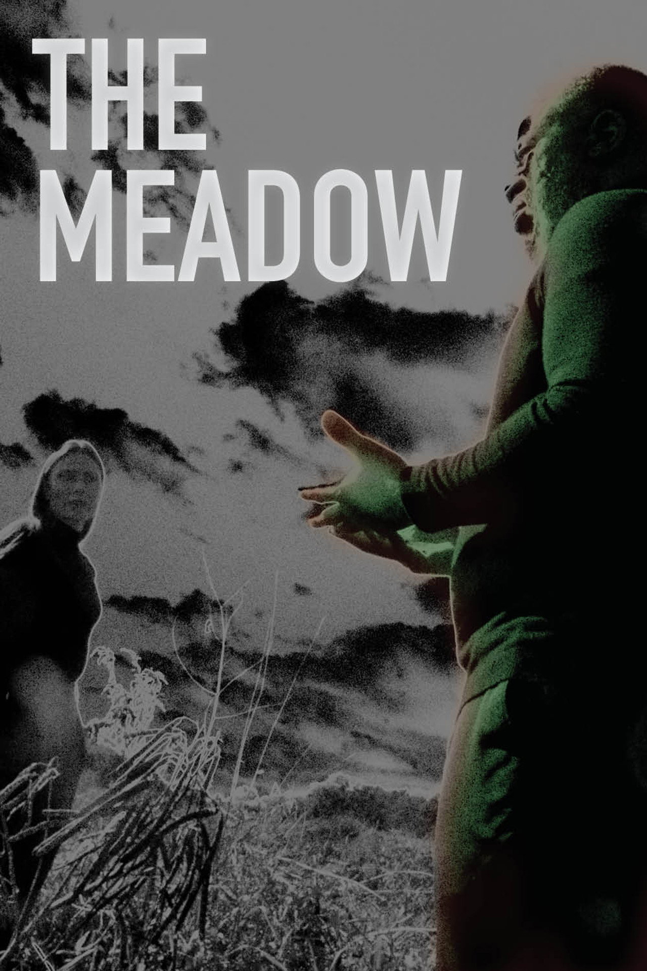 The Meadow filmaffisch