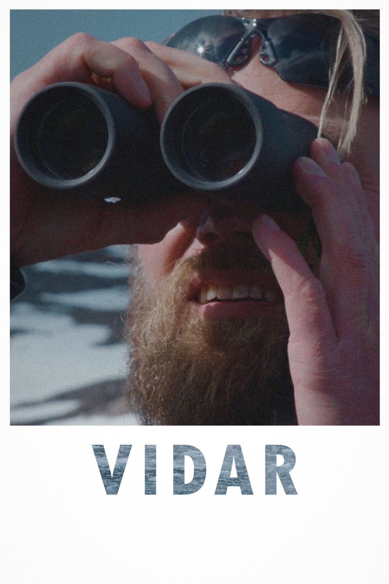 Vidar filmaffisch