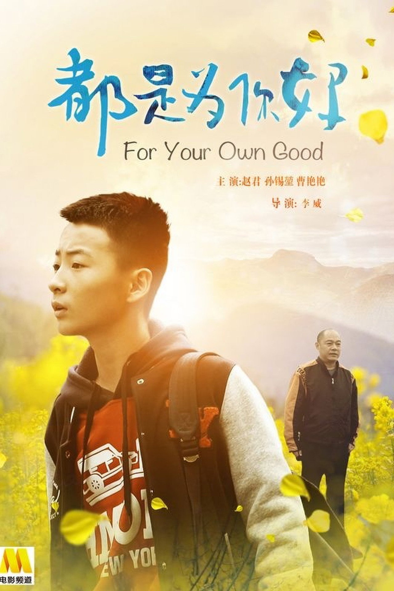 都是为你好 filmaffisch