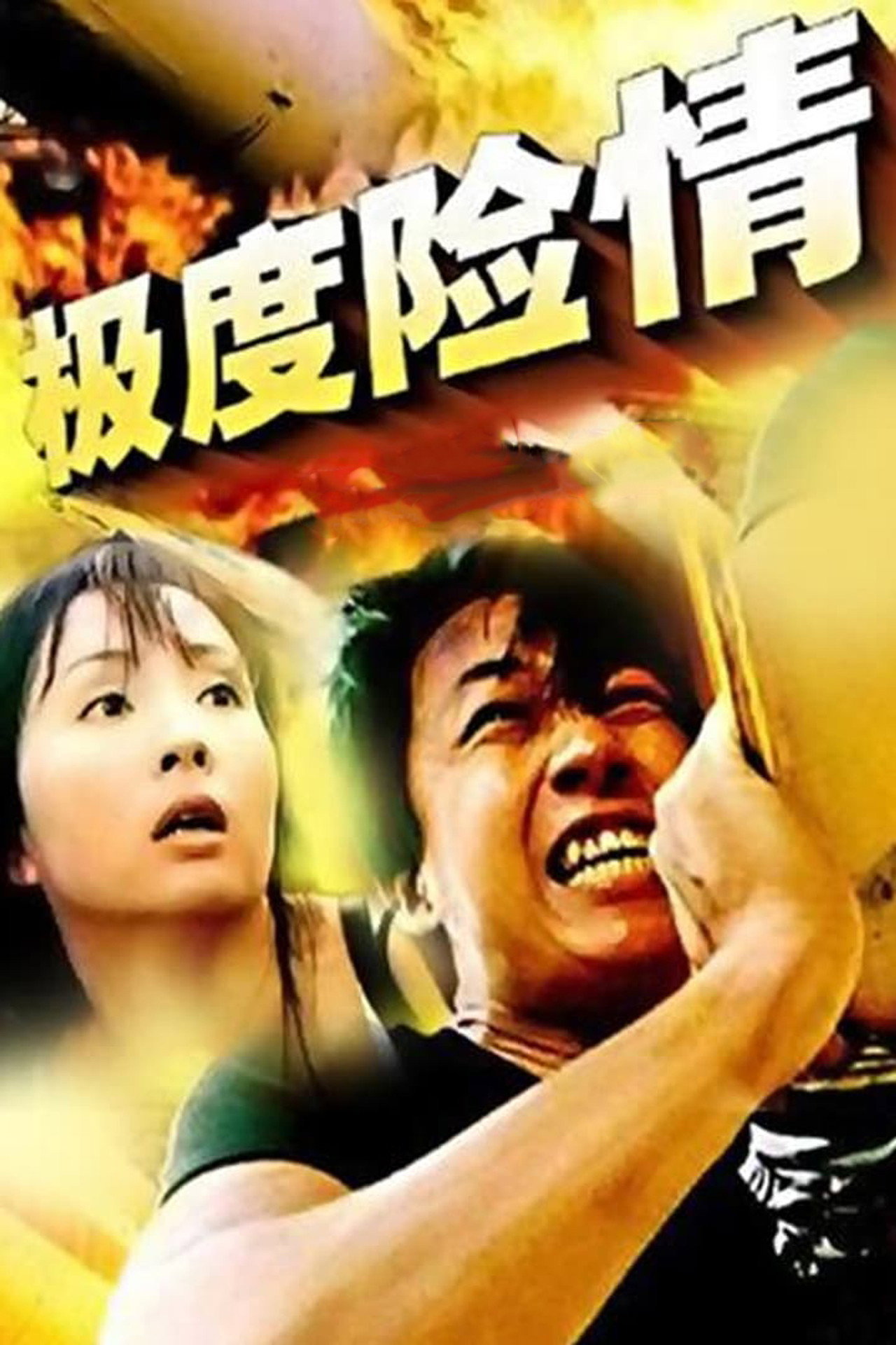 极度险情 filmaffisch
