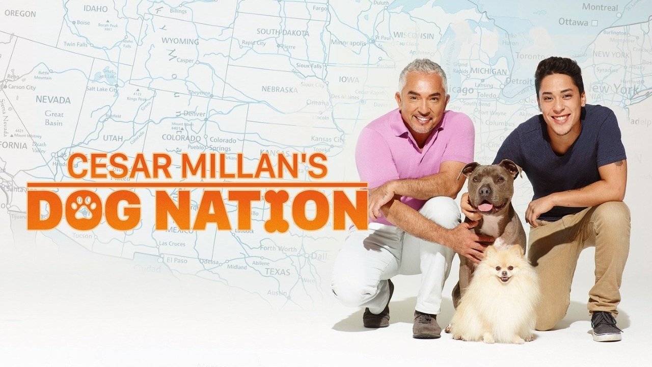 Cesar Millan's Dog Nation background