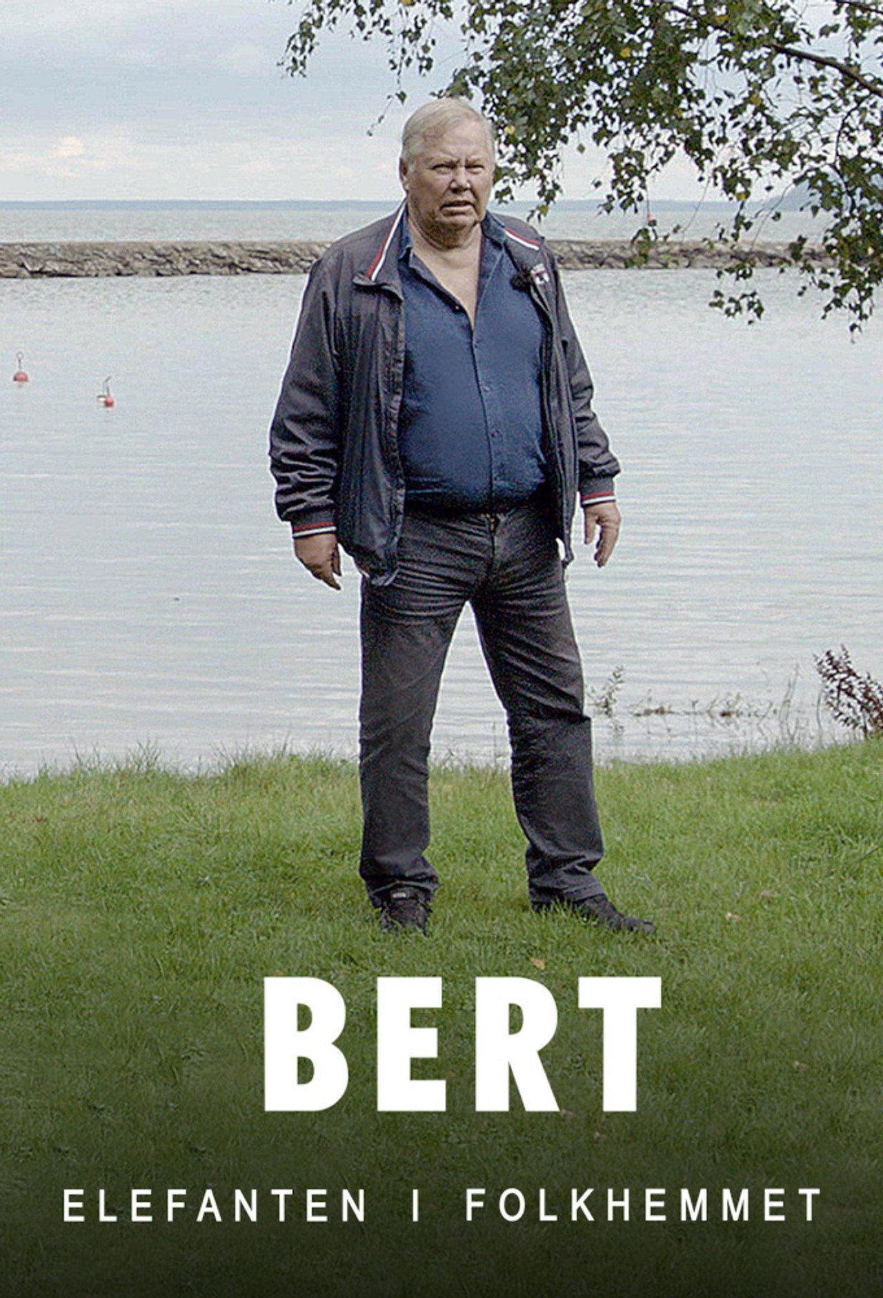 Bert Karlsson - Elefanten i folkhemmet affisch