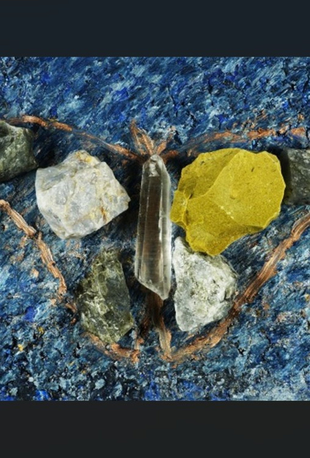 Vitruvian Moth filmaffisch