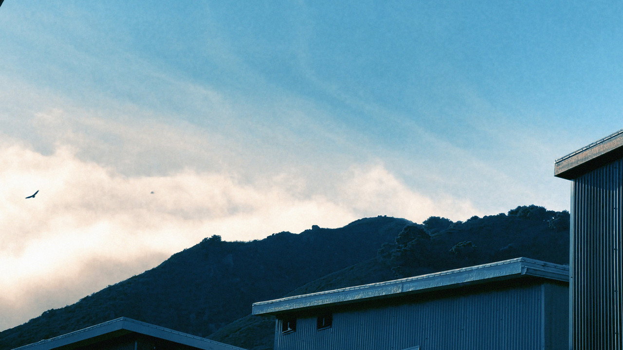 background images